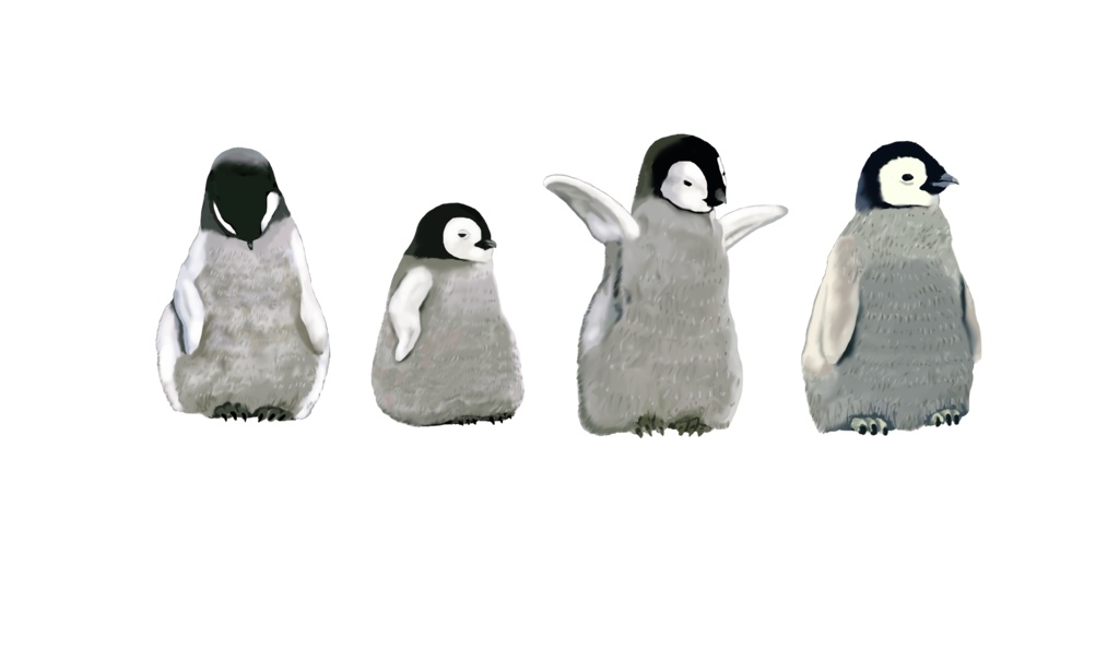 モフモフ赤ちゃんペンギン-04、ポーチ