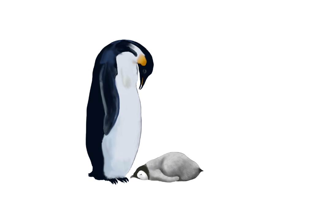 親子ペンギン、クッション