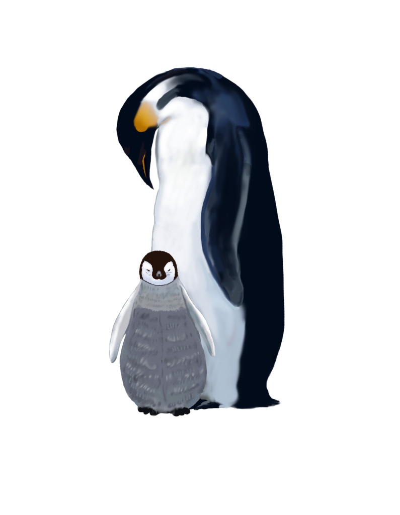 エンペラーペンギンの母子、渚、コースター円形