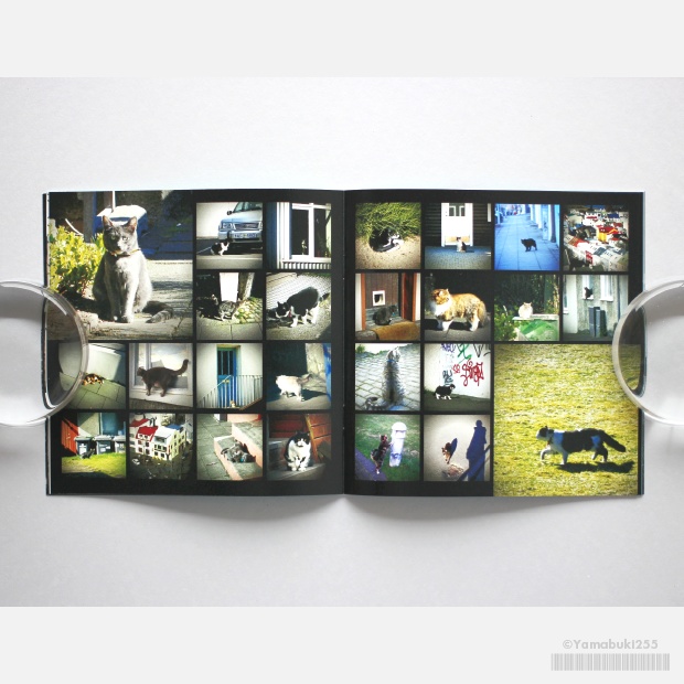 一人乗りの宇宙船 惑星・アイスランド