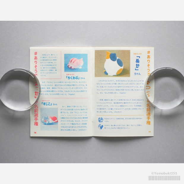 255ジャーナル Vol.1