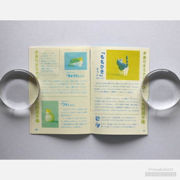 255ジャーナル Vol.2