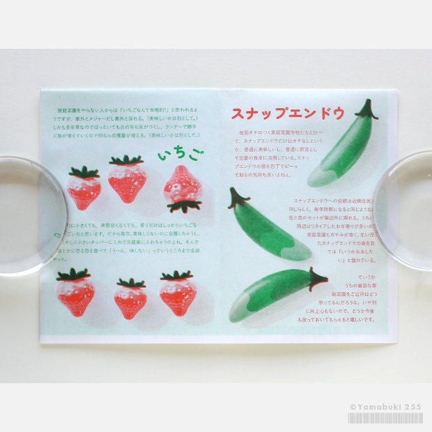 趣味未満の園芸