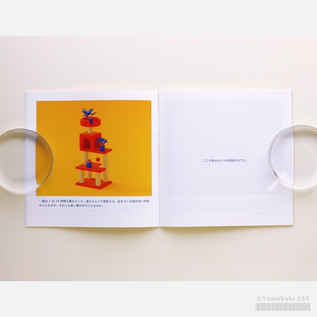 CATOPIA(3Dリメイク版)