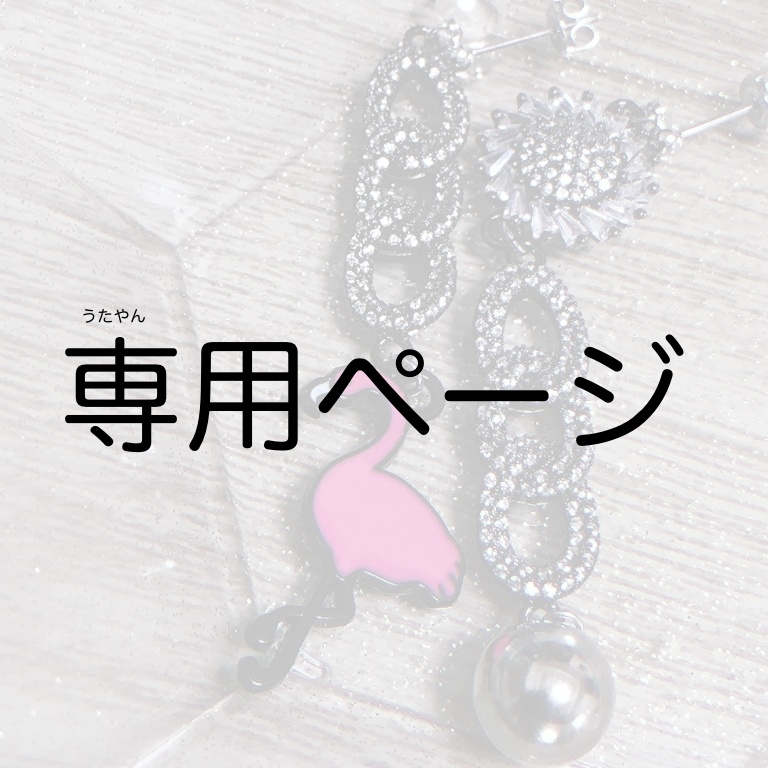 🦩ギラギラシルバーピアス🦩