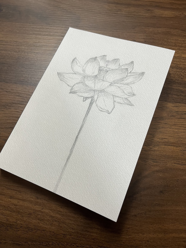 アルカロイドは理想世界の幻想を見せるかⅣ 限定版