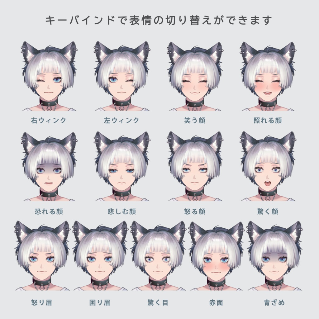 Live2D 中性的な猫耳モデル【汎用モデル・VtubeStudio対応】