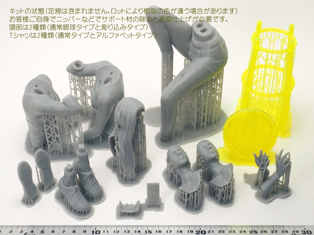1/6 Gazing Sophia( 見つめるソフィア)3D出力品(未塗装 unpainted)