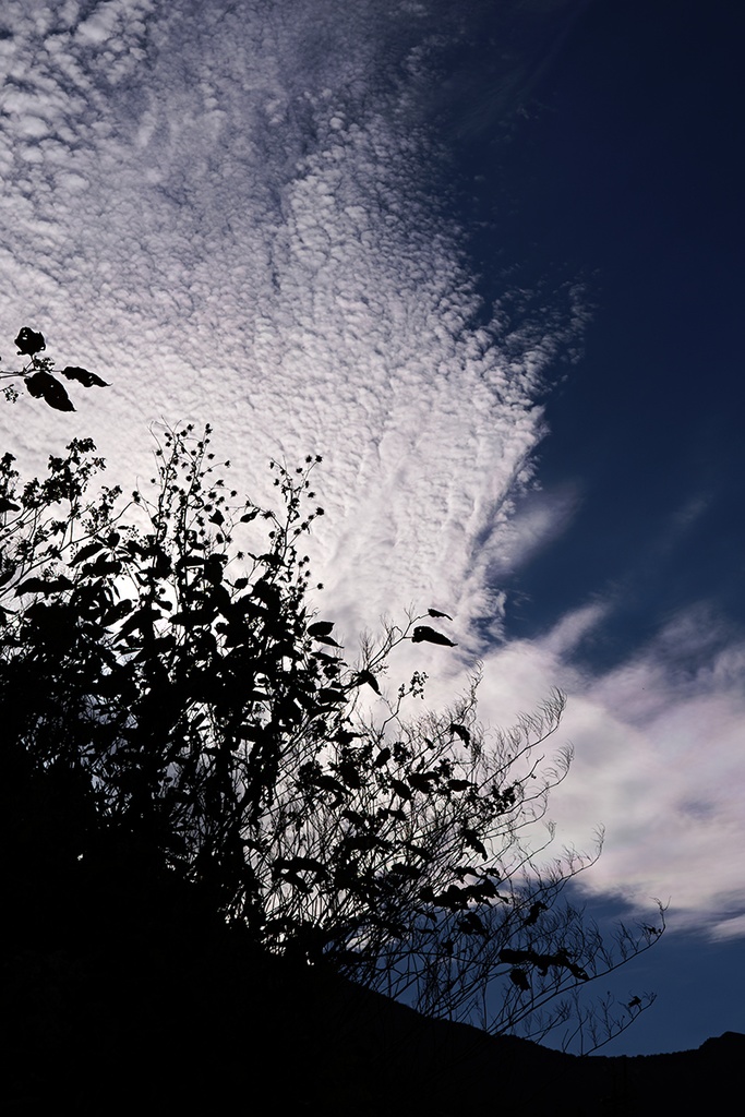 額装写真「永遠へ」(通常配送版)