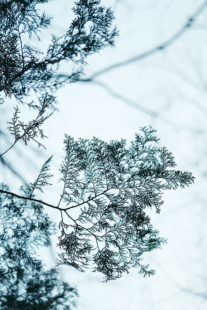 額装写真「冬の終わりごろ」(通常配送版)