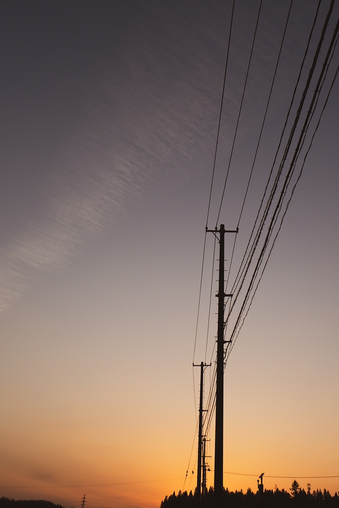 額装写真「春の気配」(通常配送版)
