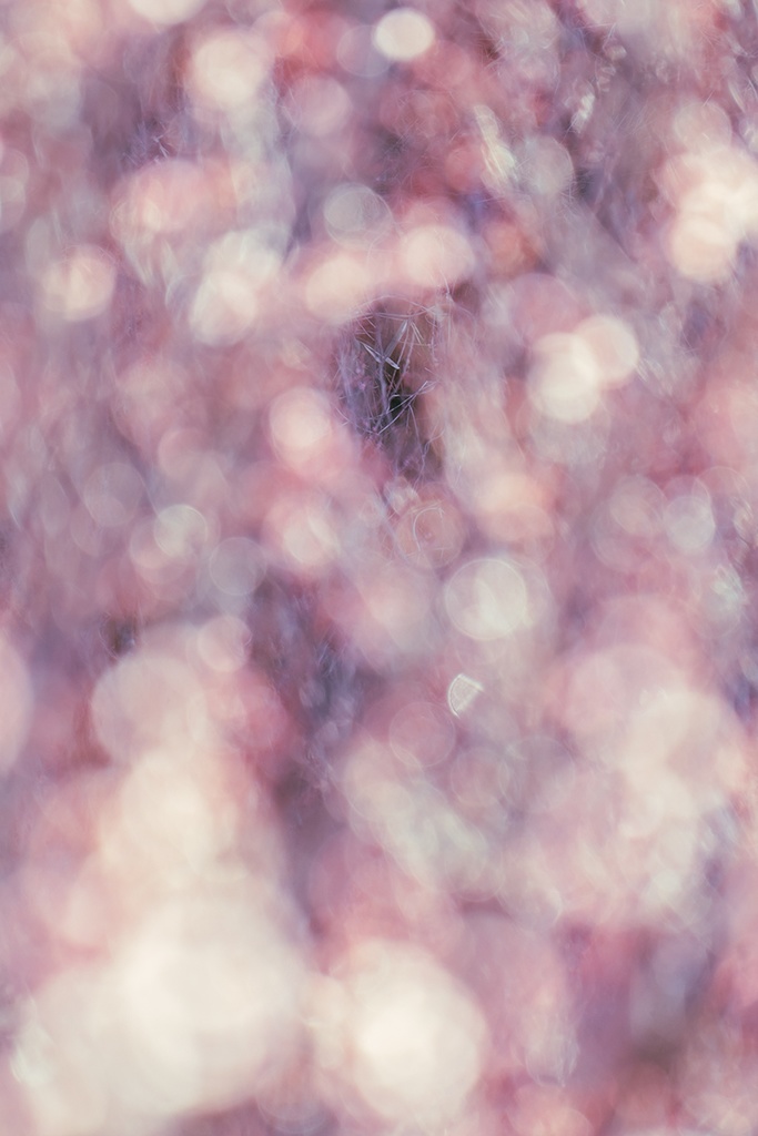 額装写真「序曲」(匿名配送あんしんBOOTHパック版)