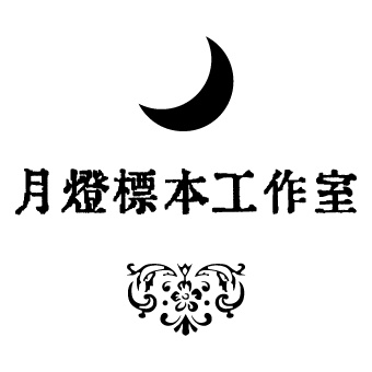 簡易ラッピング