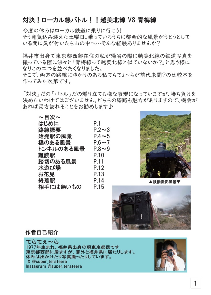 対決!ローカル線バトル!!越美北線 VS 青梅線