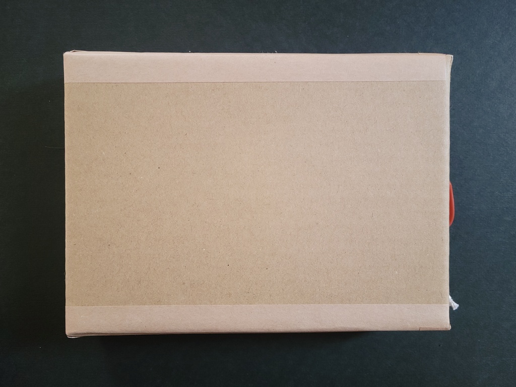 原画「月を抱く道化(バク)」