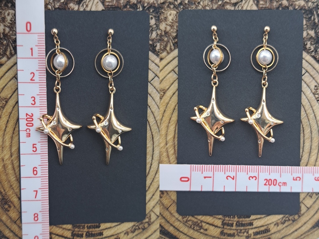 チ。イメージピアス&イヤリング
