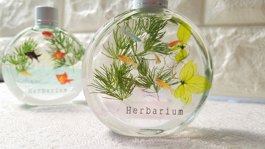 Herbarium メダカと金魚 2本set Atelier Rich Booth