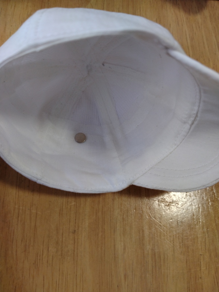 蝶々マグネット(No.255)