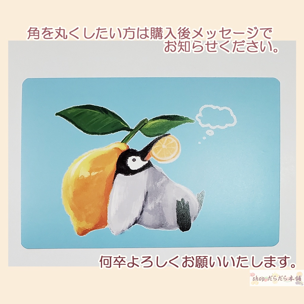 新作ポストカードご購入ページ🐈🍙🍱