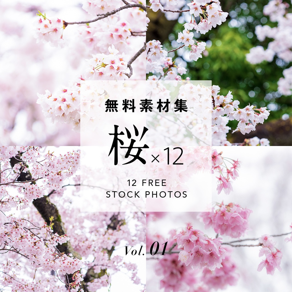 表紙 背景向き 桜 12 Vol 1 無料素材集 1mf One Moment Flow Booth