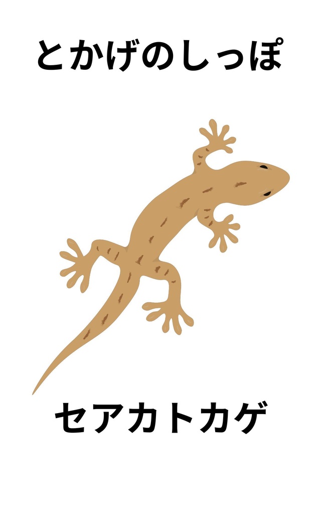 とかげのしっぽ