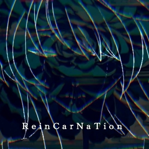 ReinCarNaTion