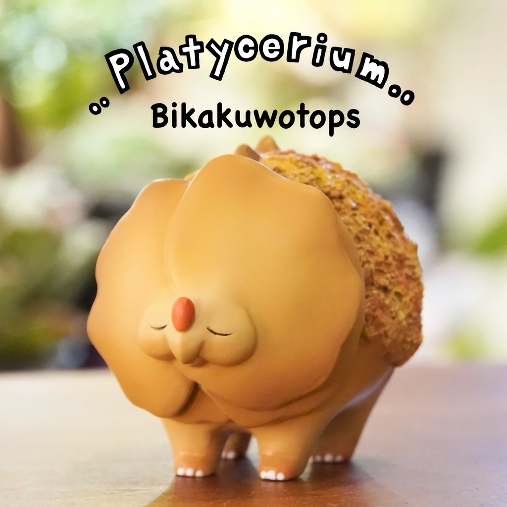 ビカクヲトプス "秋冬カラー"