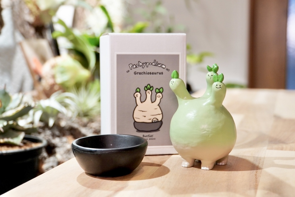 グラキヲサウルス "緑肌(鉢付き)"