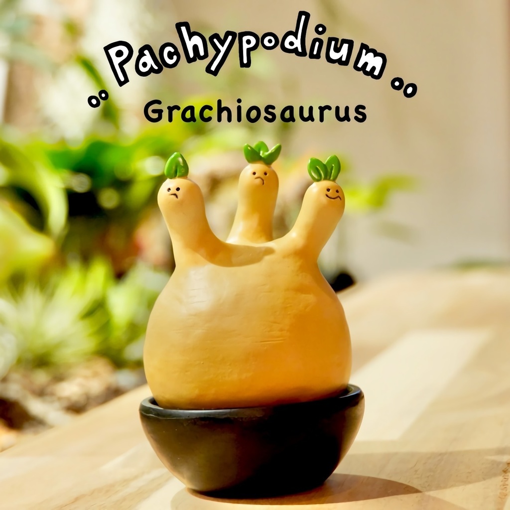 P.グラキヲサウルス "茶肌(鉢付き)"