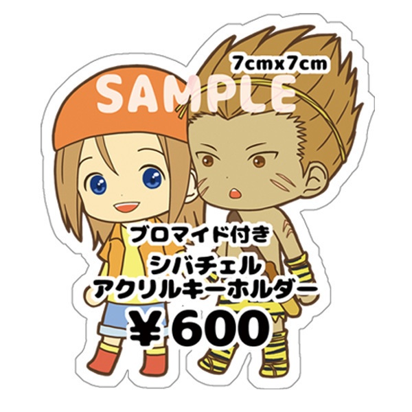 シバチェルアクキー