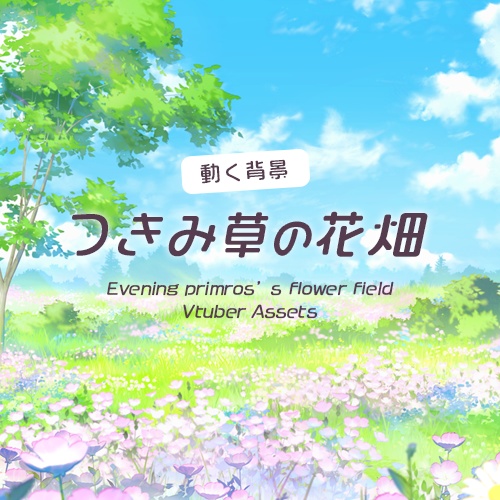 【動く配信背景】つきみ草の花畑