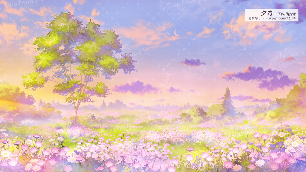 【動く配信背景】つきみ草の花畑