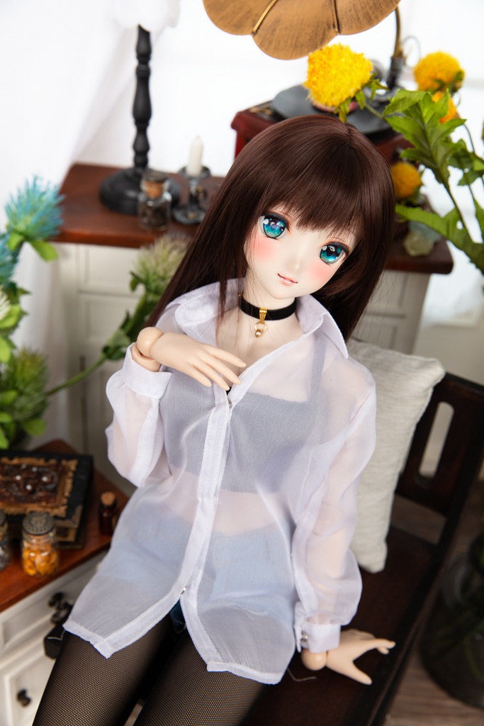 DD/DY ✦ ロングスリーブシアーシャツ