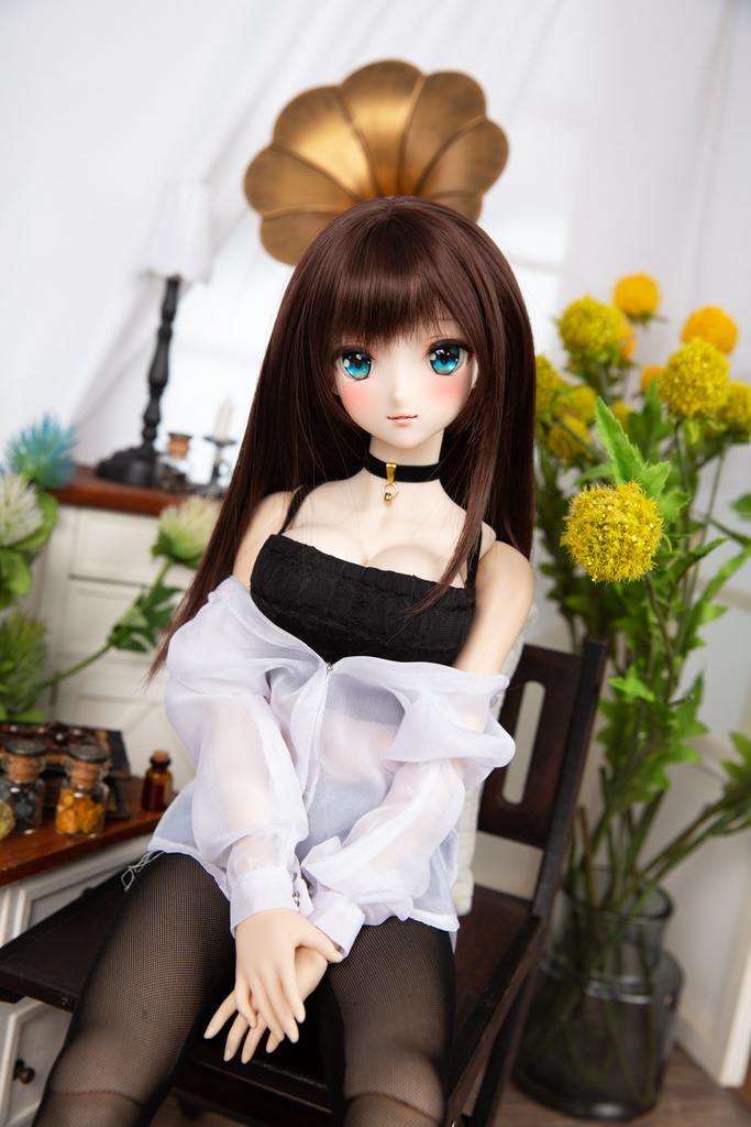 DD/DY ✦ ロングスリーブシアーシャツ