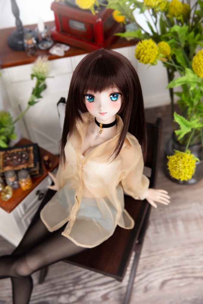 DD/DY ✦ ロングスリーブシアーシャツ