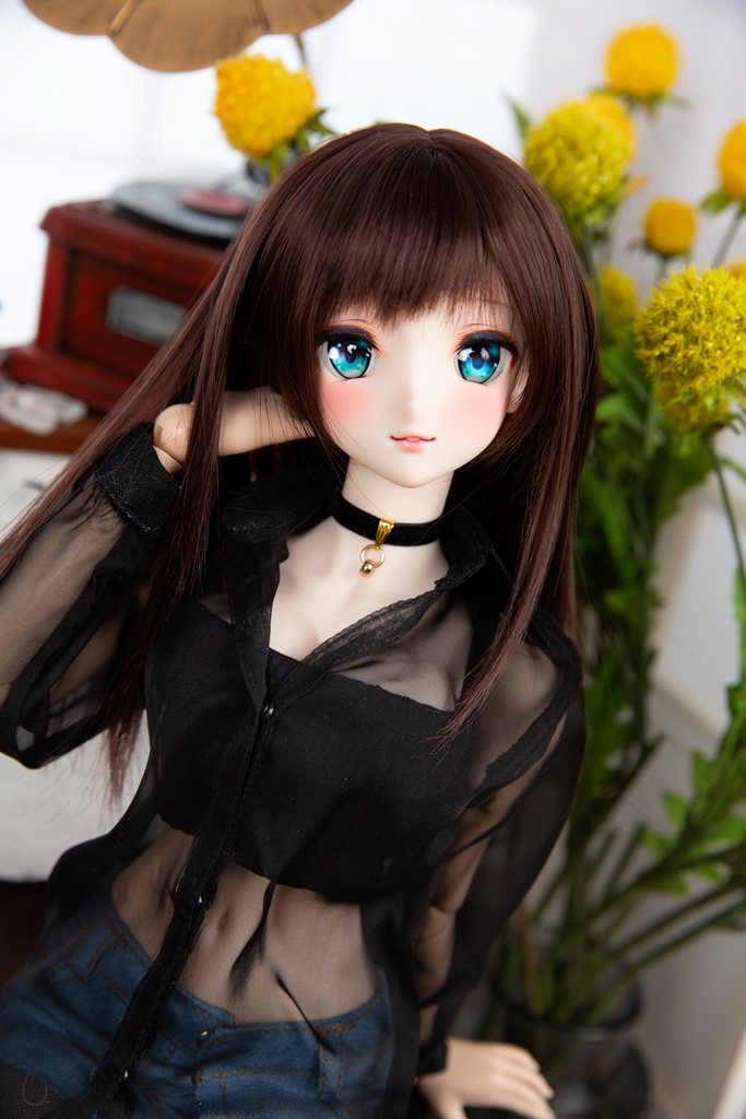 DD/DY ✦ ロングスリーブシアーシャツ