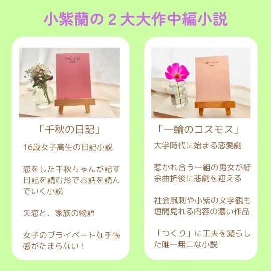女子高生の日記小説「千秋の日記」帯付き