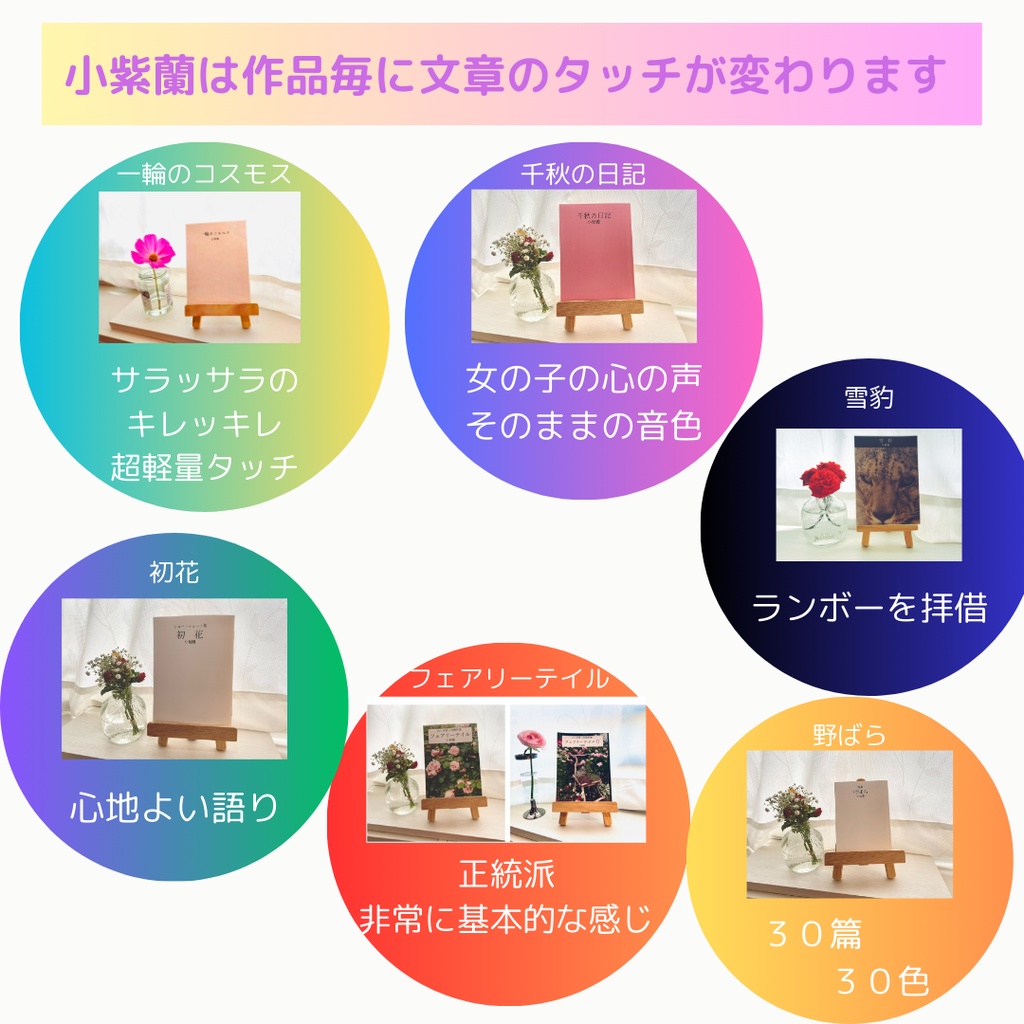 一輪のコスモス