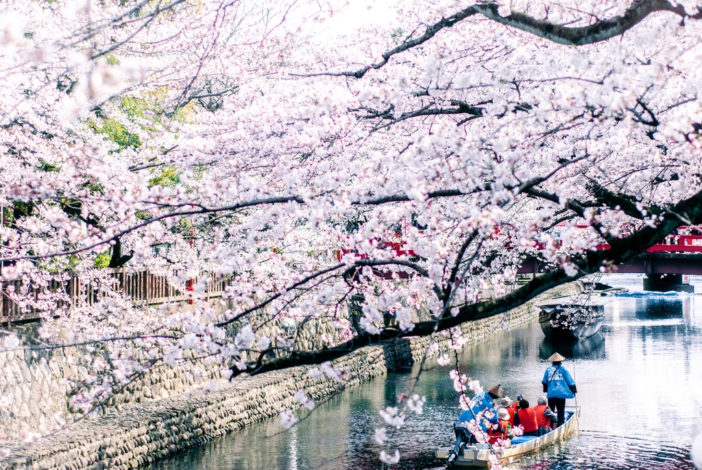 桜と川下り Mikiteaの写真展 Booth