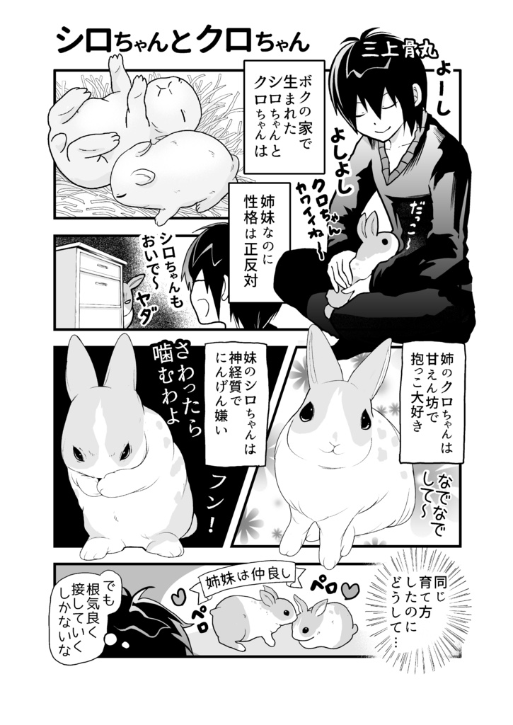 うさぎレスキューチャリティーBOOK「うさまみれ」~うさぎと生きてゆく~