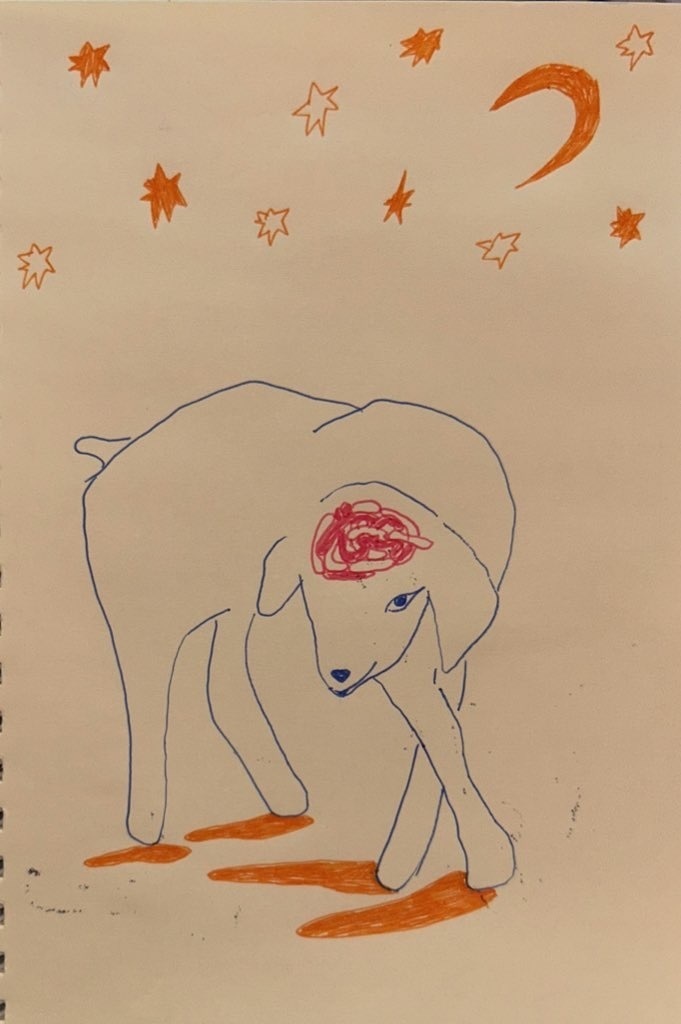 子羊