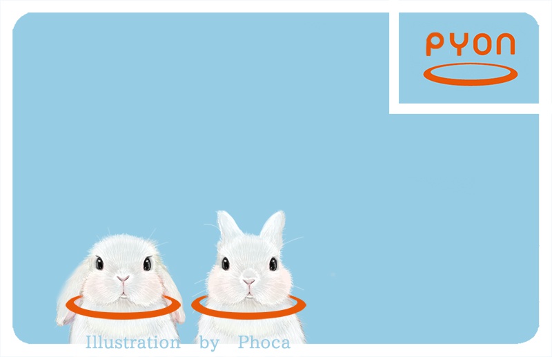 ICカードステッカー ピョン