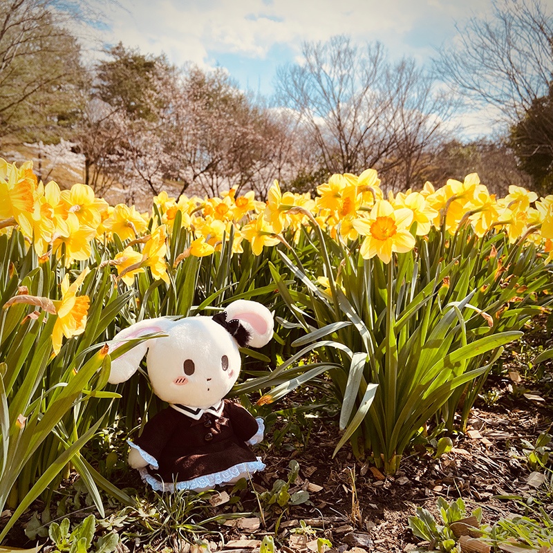 ゴシックワンピースとドロワーズ(おやすみうさぎ衣装)