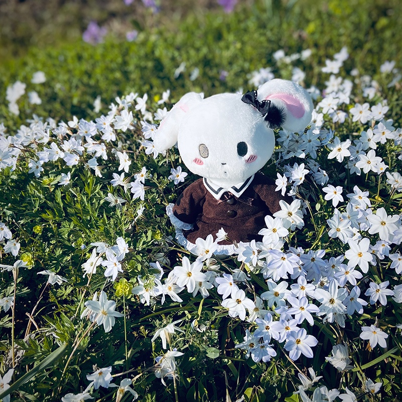 ゴシックワンピースとドロワーズ(おやすみうさぎ衣装)