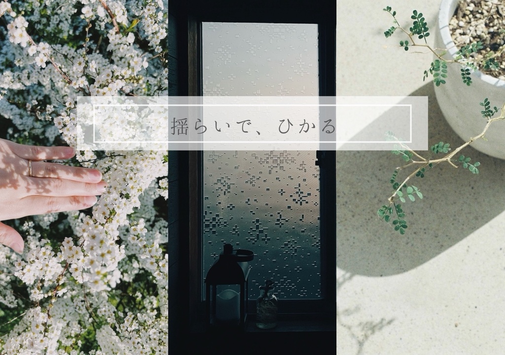 揺らいで、ひかる