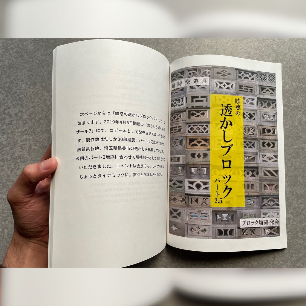 眩惑の透かしブロックパート2 増補版