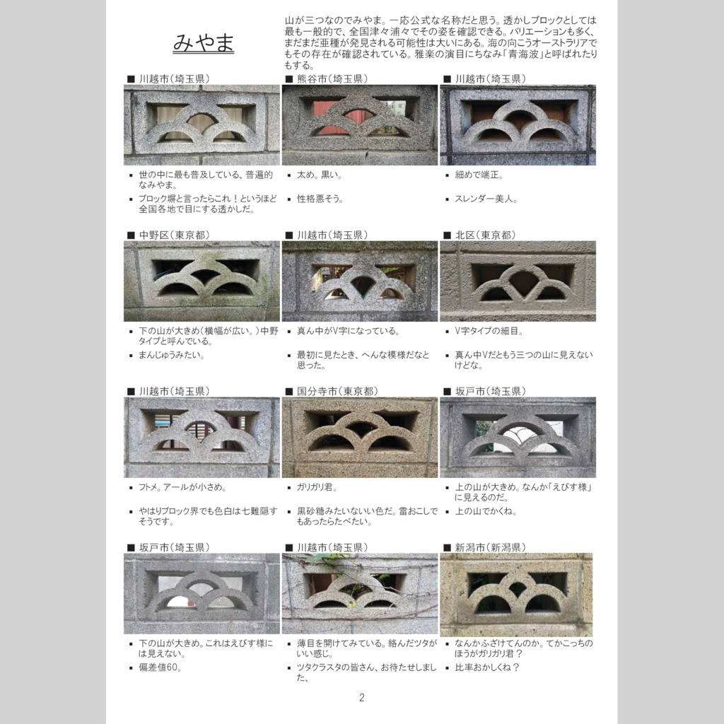 【電子版】眩惑の透かしブロックパート2 増補版