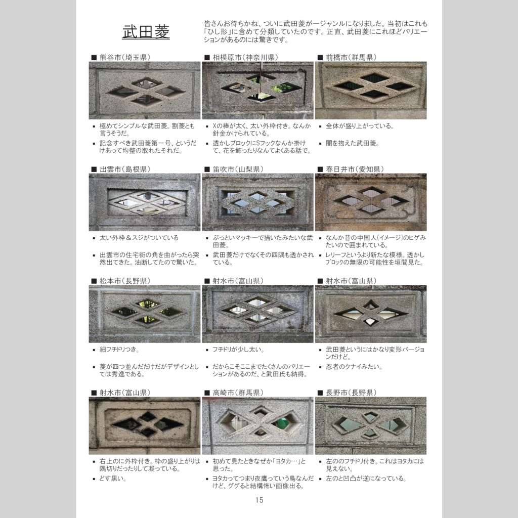 【電子版】眩惑の透かしブロックパート2 増補版