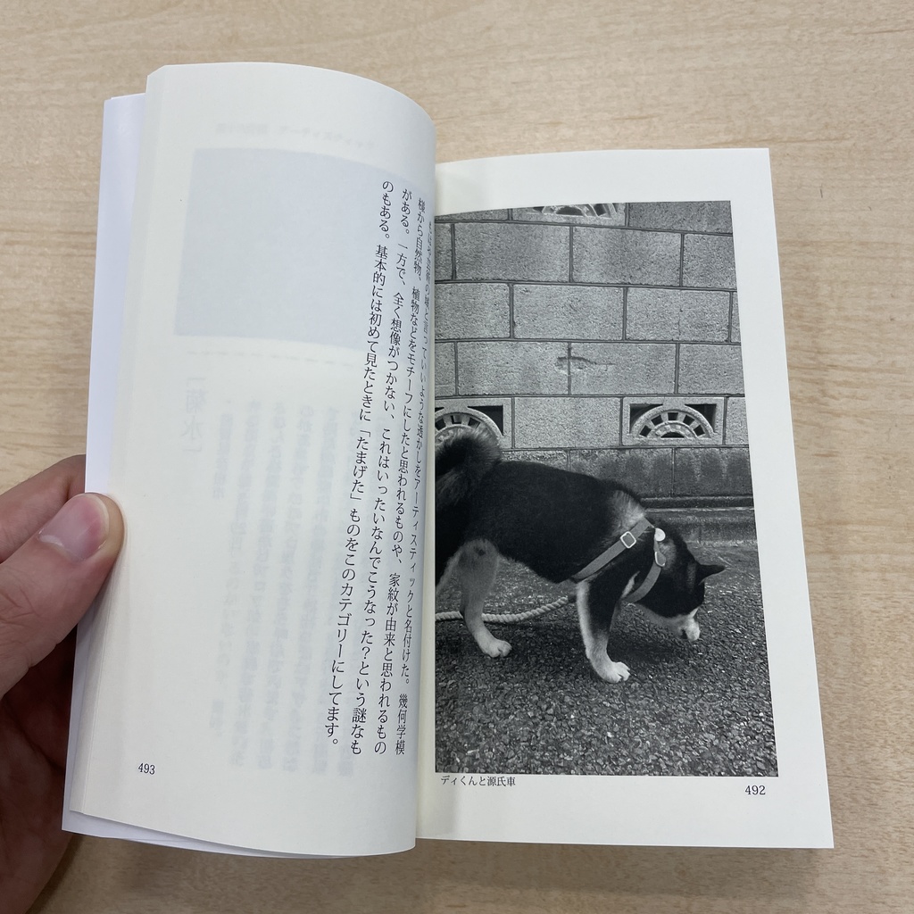 【新刊】君は透かしブロックを見たか