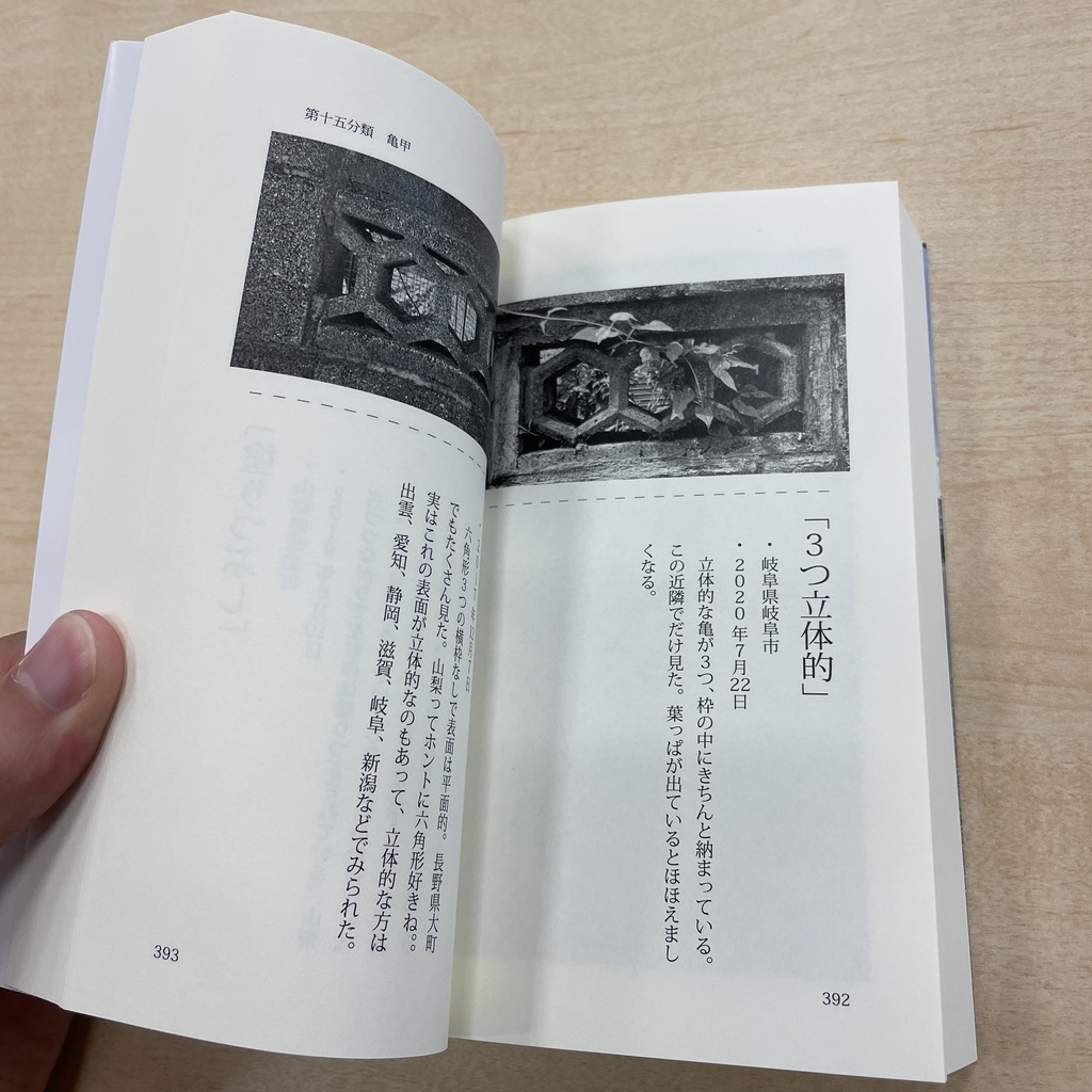 【新刊】君は透かしブロックを見たか